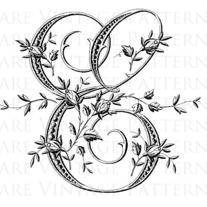 FRENCH ALPHABET STENCIL Letra grande - E - Monogram inicial Png transparente y Jpg blanco fondo imágenes patrón de costura bordado a mano