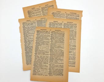 Vintage Dictionary Pages, 5 Sheets from the 1960's