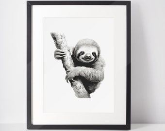 Zwart-witte luiaard op tak dierenkwekerij kinderkamer muurdecoratie print