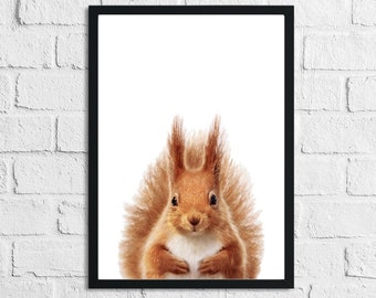 Red Squirrel Animal Woodlands Children's Nursery Room Wall Decor Print