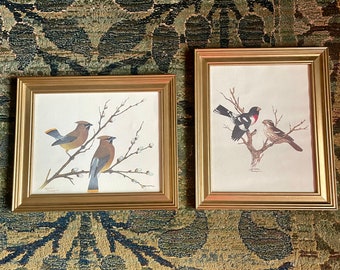Vintage Framed Bird Art Prints Sherm Pehrson Art Prints