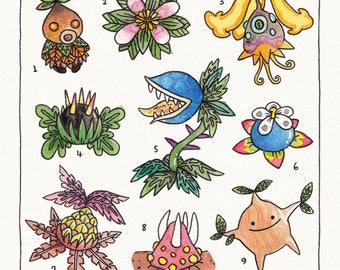 PLANTES D'HYRULE — impression