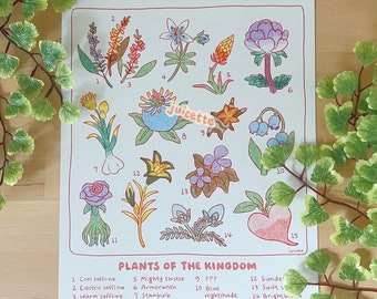 PLANTS of THE KINGDOM — print