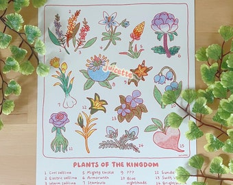 Puede incluir: Un gráfico ilustrado colorido titulado "Plantas del Reino" con 15 flores y plantas diferentes, cada una numerada y etiquetada con un nombre. El gráfico está sobre un fondo beige claro.