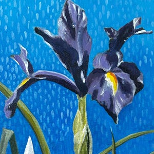 Iris Gathering