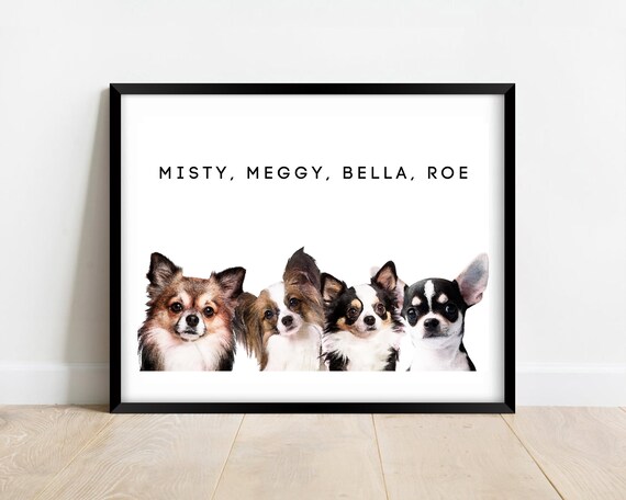 diy dog detangler spray