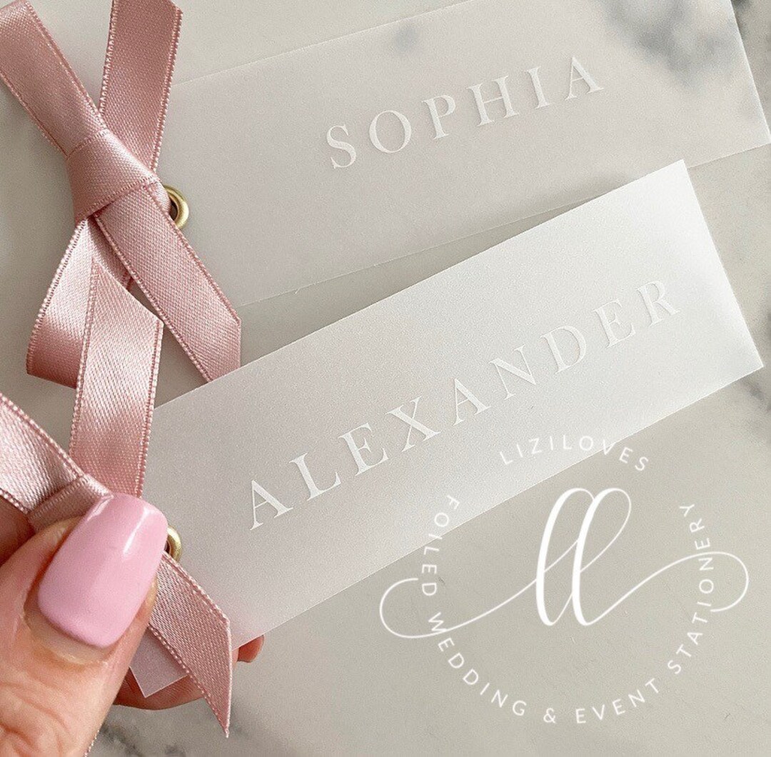 White Ink Vellum Place Card Tags White Simple per Tag Etsy UK