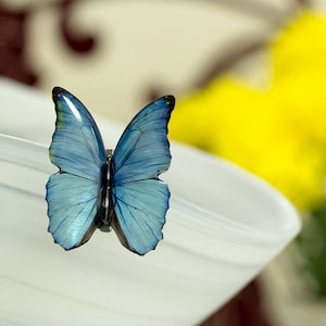 Blue morpho small butterfly brooch. Looks like real butterfly. Comes in a gift box.