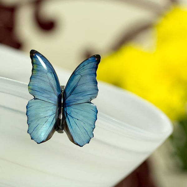 Blaue Morpho kleine Schmetterling Brosche. Sieht aus wie ein echter Schmetterling. Kommt in einer Geschenkbox.