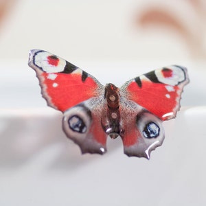 May include: A red, white, and black butterfly with a brown body. The butterfly is perched on a white surface.