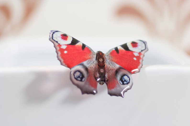 May include: A red, white, and black butterfly with a brown body. The butterfly is perched on a white surface.