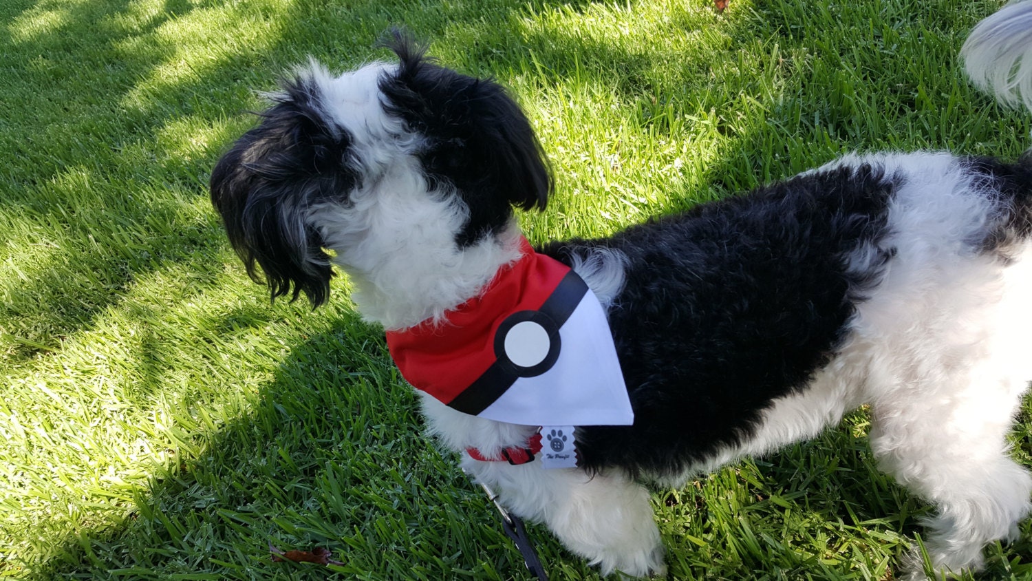 Pokemon dog sale bandana