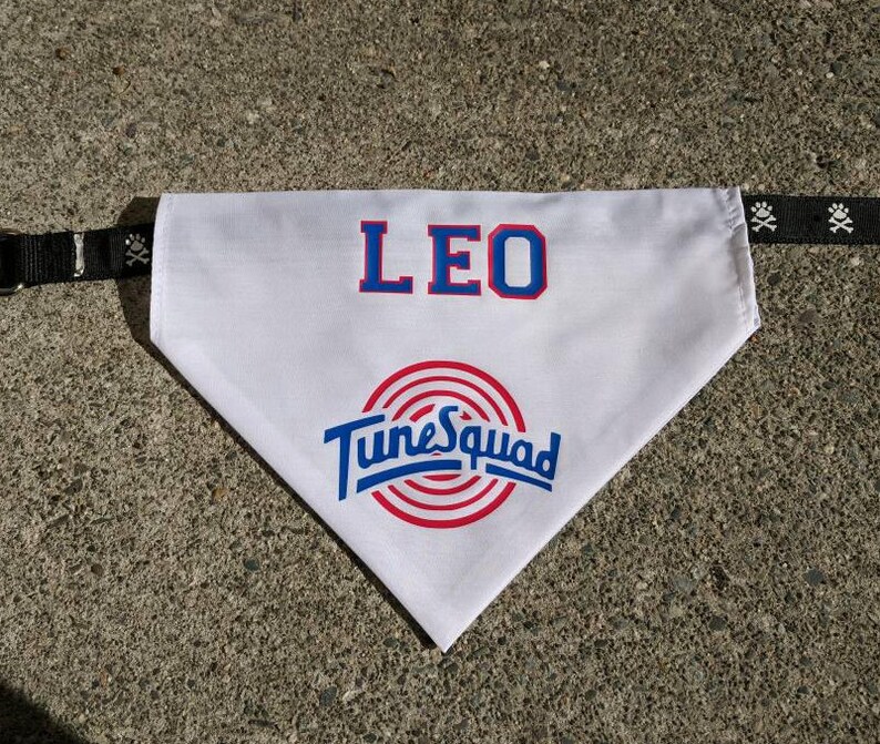 tune squad dog jersey