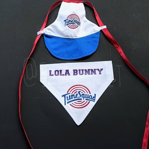 Space Basketball Squad Inspired Bandana Hat/Cap for Dog Cat Bunny Rabbit Pig