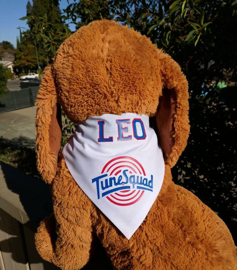 tune squad dog jersey