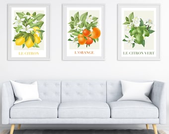 Set of 3 Citrus Fruit Wall Art, Kitchen Wall Art, Kitchen Poster, French Wall Art, Orange Wall Art, Kitchen Decor, Housewarming Present