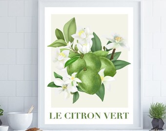 Citrus Fruit Print,  Fruit Wall Art, French Wall Art, Kitchen Wall Art, Kitchen Print, Home Decor, Posters, Wall Art, Kitchen Decor