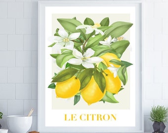 Citrus Fruit Print,  Fruit Wall Art, French Wall Art, Kitchen Wall Art, Kitchen Print, Home Decor, Posters, Wall Art, Kitchen Decor