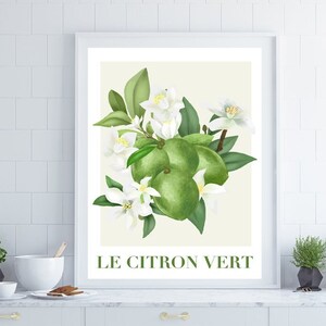 Citrus Fruit Print,  Fruit Wall Art, French Wall Art, Kitchen Wall Art, Kitchen Print, Home Decor, Posters, Wall Art, Kitchen Decor