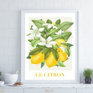 Citrus Fruit Print,  Fruit Wall Art, French Wall Art, Kitchen Wall Art, Kitchen Print, Home Decor, Posters, Wall Art, Kitchen Decor