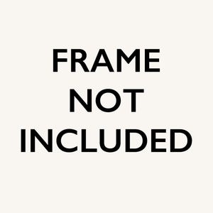 Pu&ograve; includere: Testo che recita "FRAME NOT INCLUDED" in lettere nere su sfondo bianco.