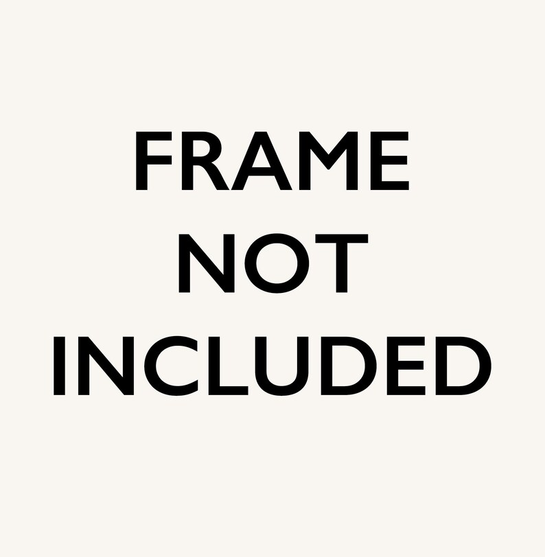 Pu&ograve; includere: Testo che recita "FRAME NOT INCLUDED" in lettere nere su sfondo bianco.