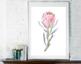 Protea Print, Tropical Art, Botanical Print, Tropical Wall Decor, Botanical Gift, Scandi Decor, Floral Decor, Pink Flower, Nursery Decor