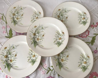 Set of Five Royal Albert Narcissus Tea Plates