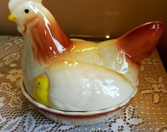 Contenitore per nidi di galline, porta uova di gallina, gallina sul nido, gallina nidificante