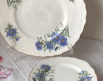 Royal Vale China Cake Plate - Serving Plate & 6 Tea Plates