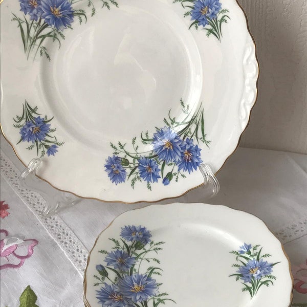 Royal Vale China Cake Plate - Serving Plate & 6 Tea Plates