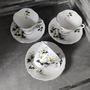3 x Windsor Floral Teacup and Saucer, Home decor