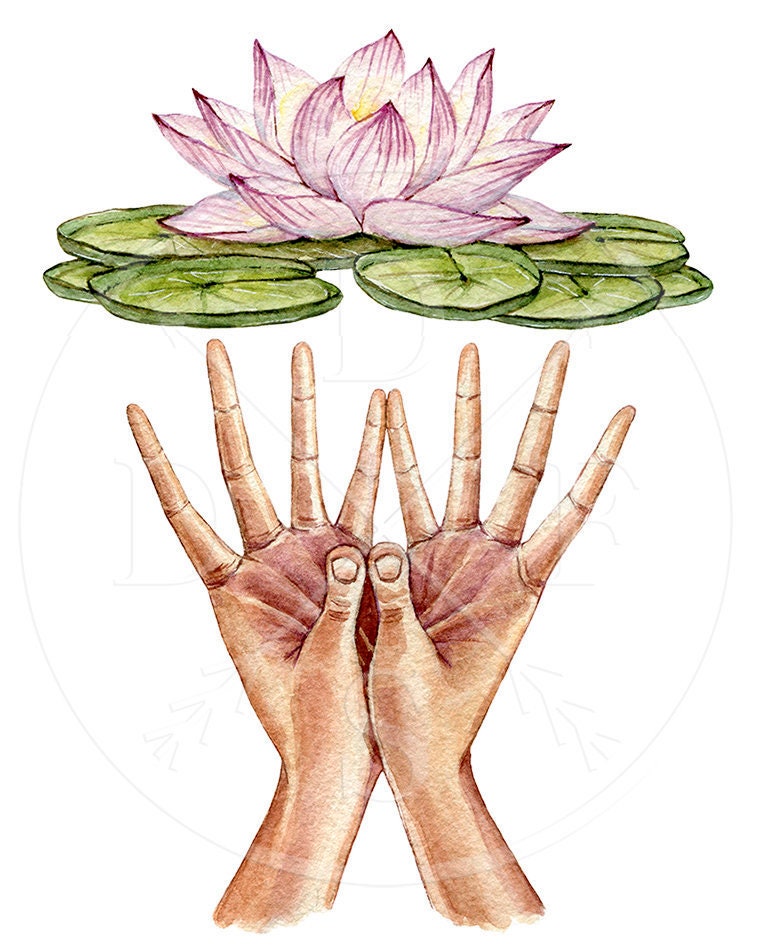Watercolor Lotus Mudra Padma Mudra Yoga Flower Hands Etsy