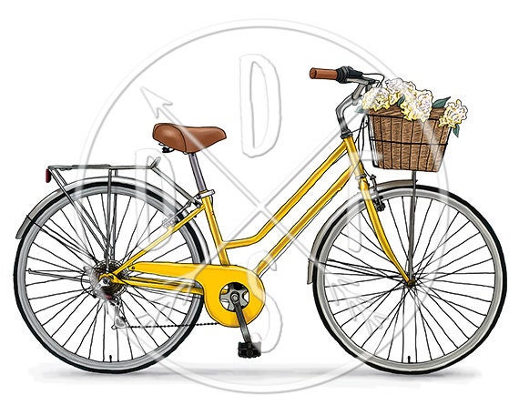 bike flower basket