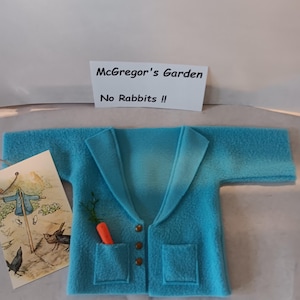 Peter Rabbit Jacket Garden Decor,  Larger Size