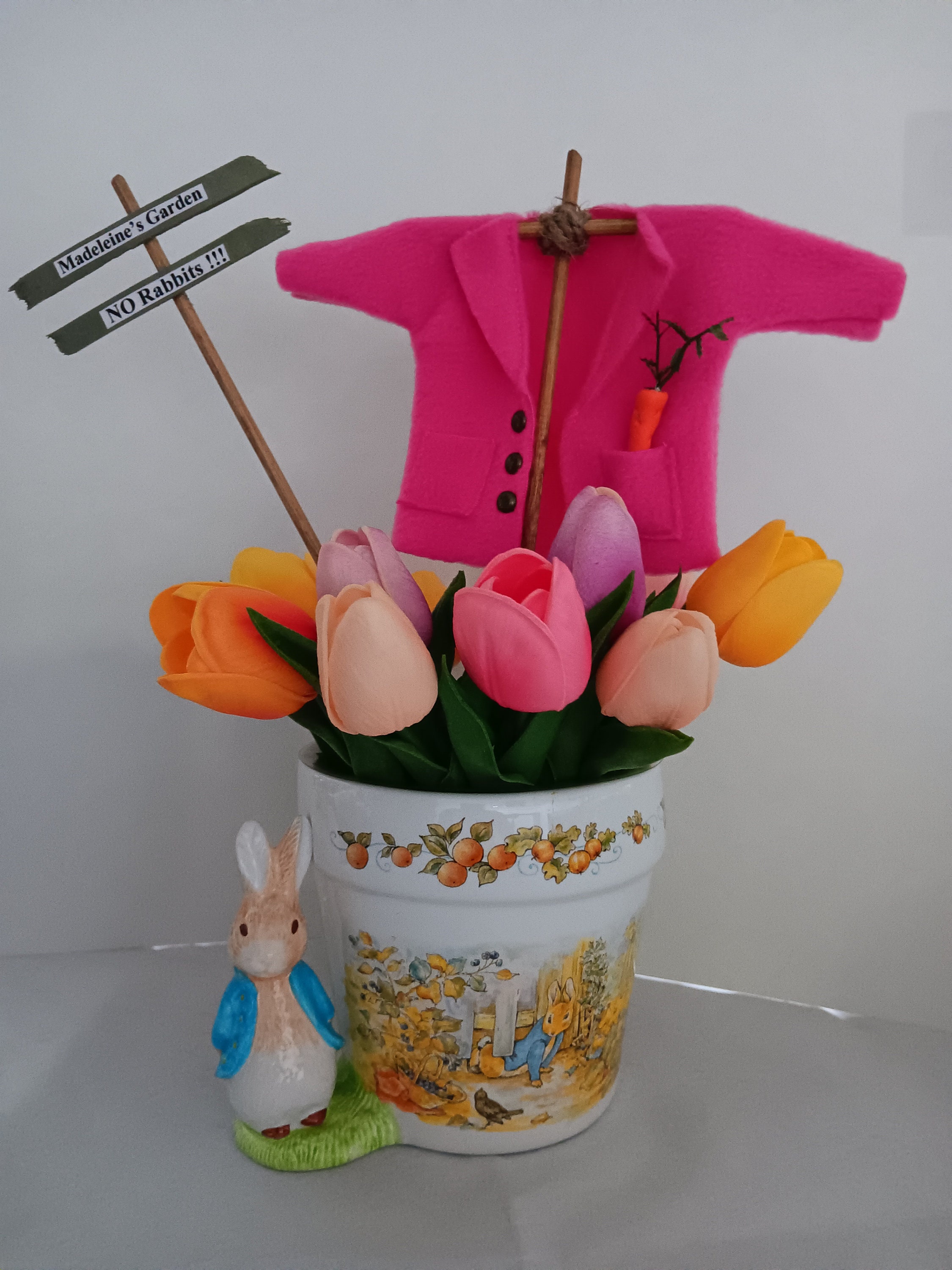 Peter Rabbit Jacket Decor, Mcgregor's Garden Sign, Baby Shower