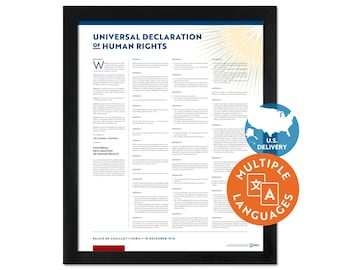 May include: A framed poster of the Universal Declaration of Human Rights with black framing. The document features blue and black text on a white background, a sunburst graphic in the top right corner, and a red rectangular accent at the bottom.