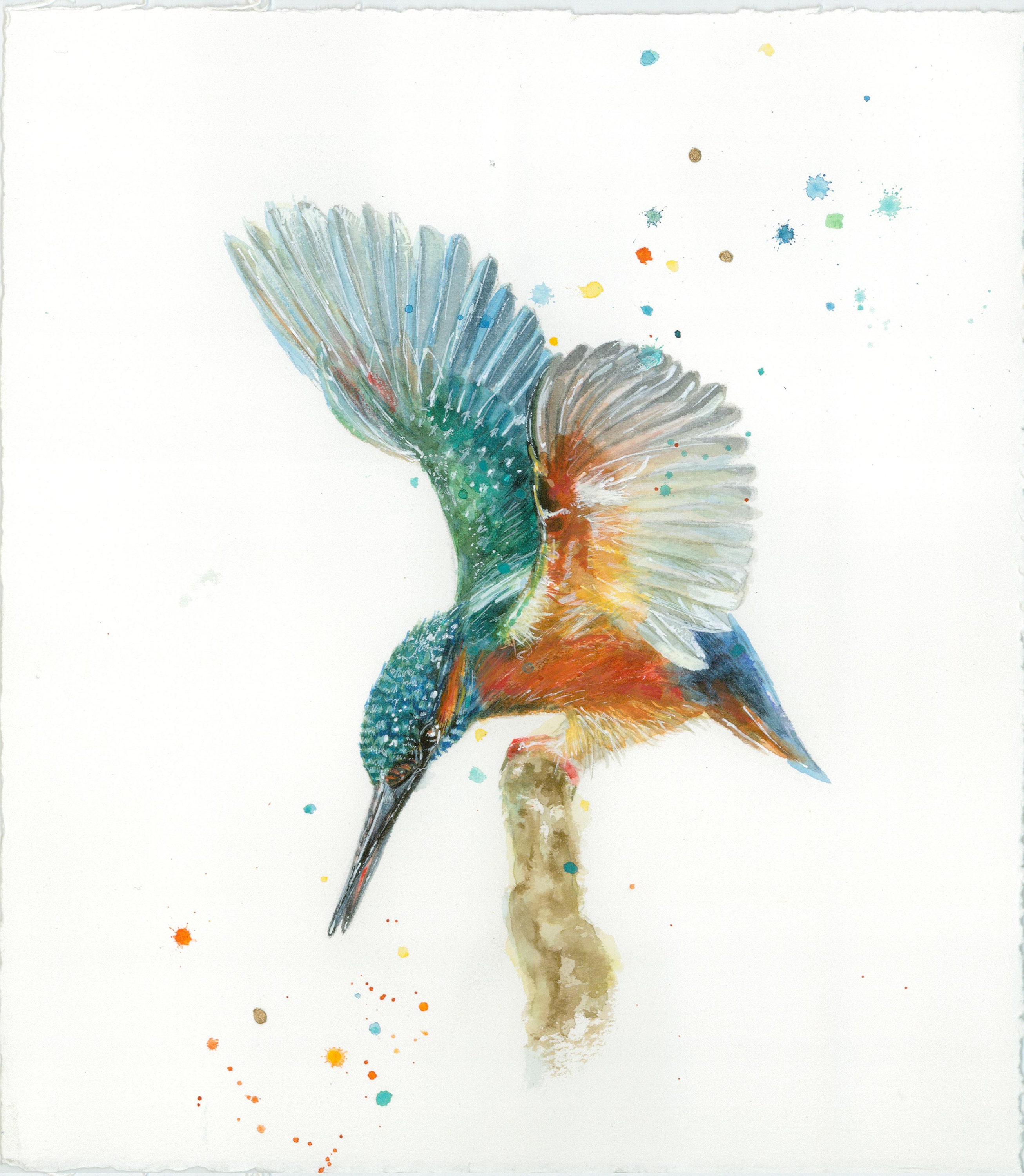 Kingfisher 1 Kingfishers Art Kingfisher Flight Wall Art Etsy