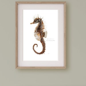 Puede incluir: Una impresión enmarcada que presenta una ilustración detallada en acuarela de un caballito de mar. El caballito de mar está representado en tonos marrones y beige, con una cola enroscada y una aleta dorsal espinosa. La obra de arte está sobre un fondo blanco y enmarcada en madera clara.
