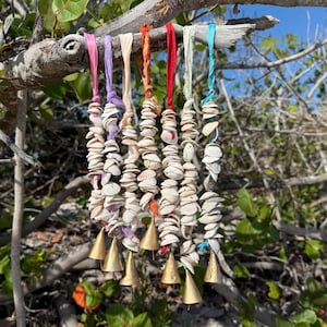 May include: A set of seven colorful shell and bell wind chimes hanging from a tree branch. Each chime features a different color ribbon and a row of small white seashells with a brass bell at the bottom.