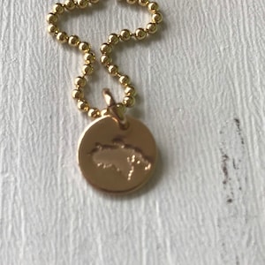 May include: A gold necklace with a small round pendant featuring an outline of the island of Puerto Rico.