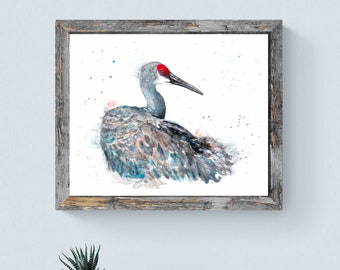 Sandhill Crane fine art print by Ellen Brenneman