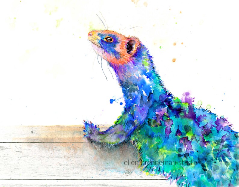 Colorful Ferret watercolor art print by Ellen Brenneman Etsy