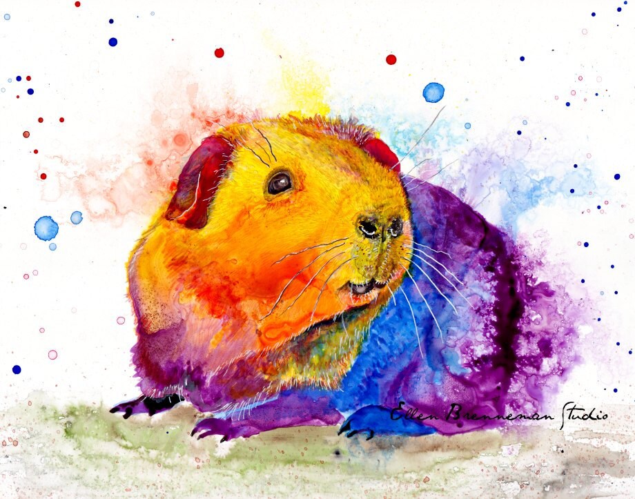 Colorful Guinea Pig art print Spirit Animal decor by Ellen Etsy