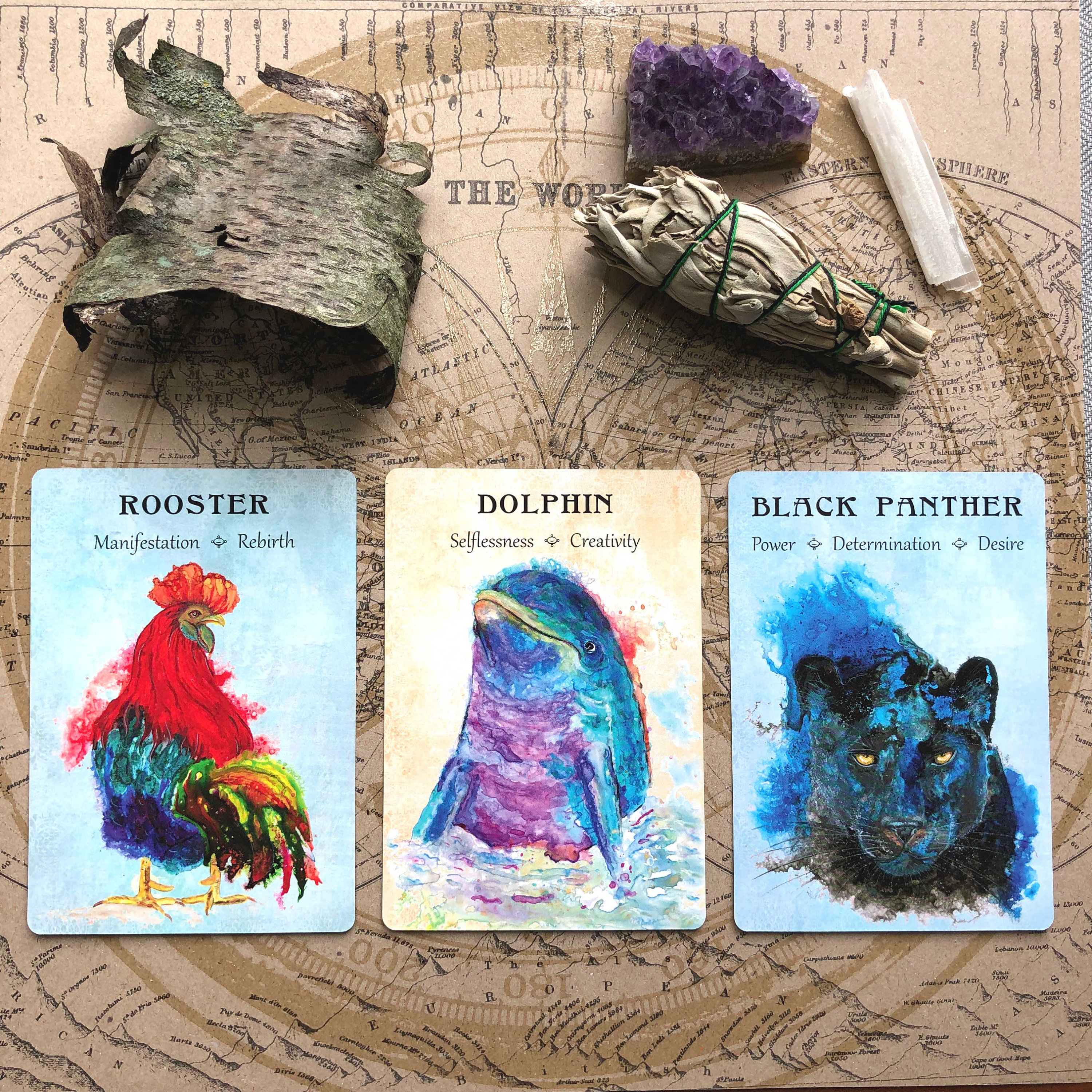 Power Animals of the Planet Oracle Deck Indie Spirit Animal - Etsy Hong Kong Power Animals of the Planet Oracle Deck Indie Spirit Animal - Etsy Hong Kong