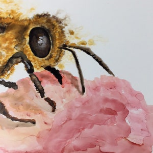 Honeybee and flower art print by Ellen Brenneman image 4