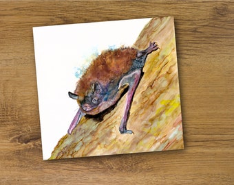 Bat art print, Indiana bat watercolor, cute bat nursery print