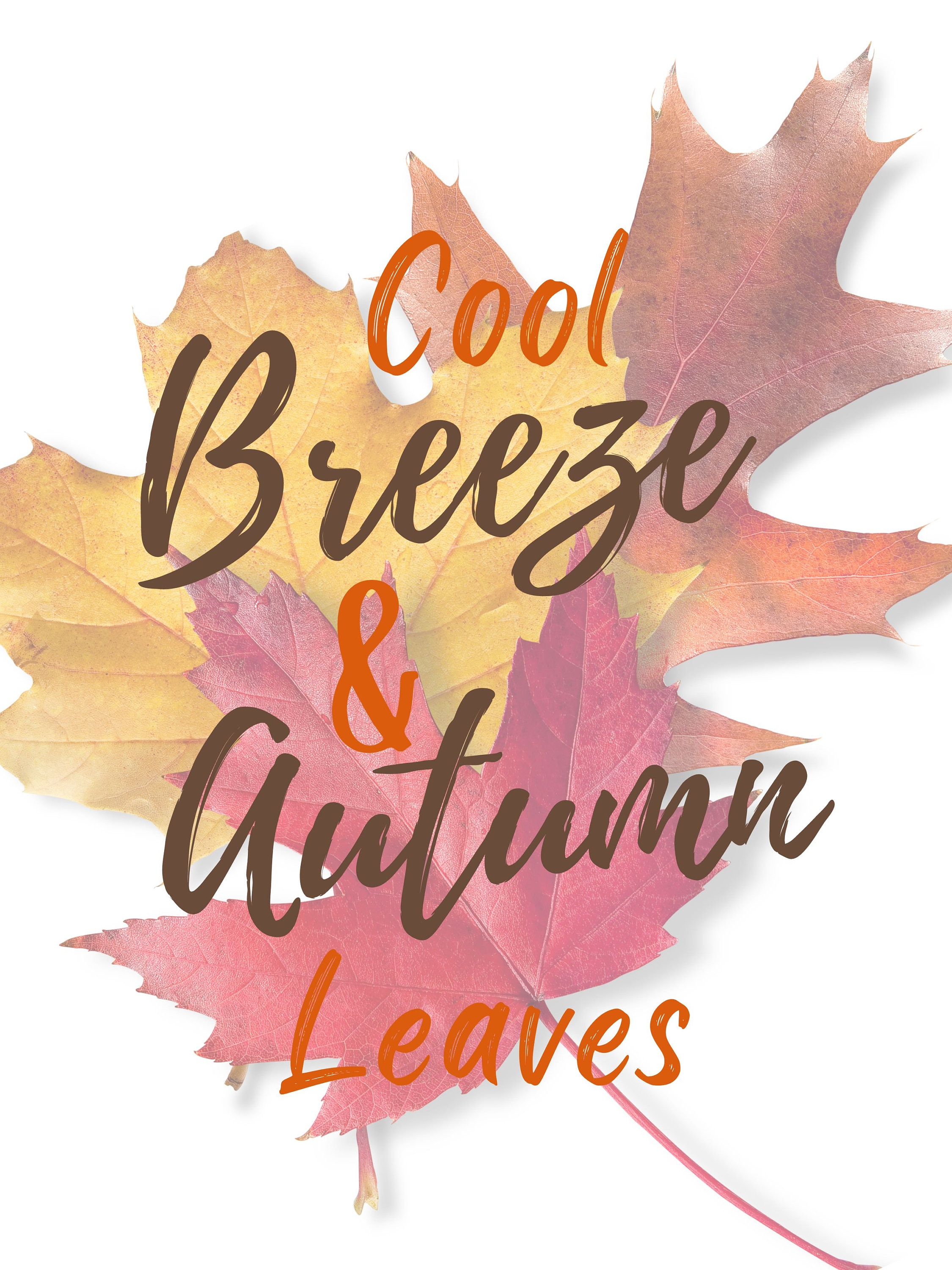 FALL PRINTABLE ART Set of 6 Fall Wall Decor Printable Etsy