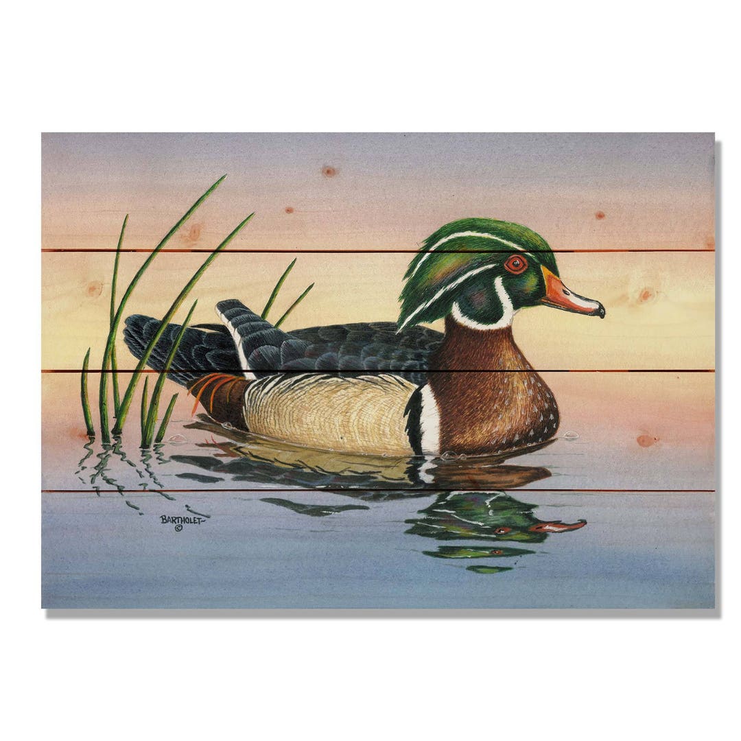 Woody Duck - Art on Wood - Etsy