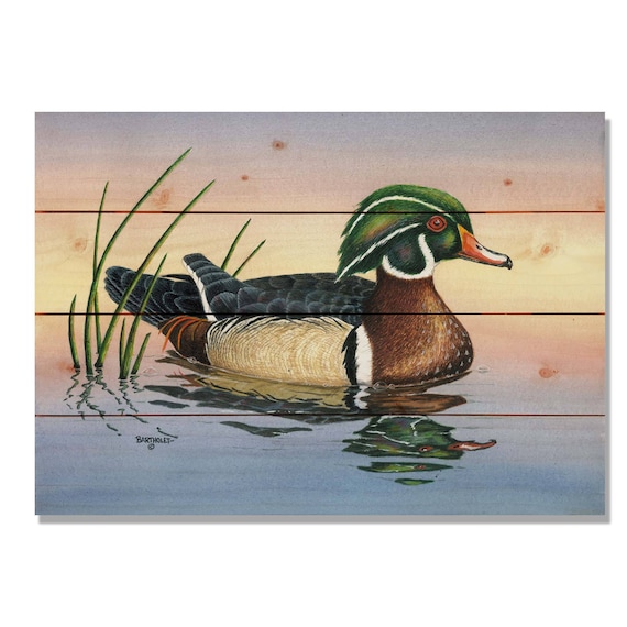 本 Common Duck イラスト 木製ボード 絵